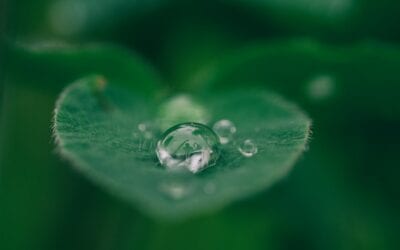 Mit gutem Gewissen ertragreich anlegen