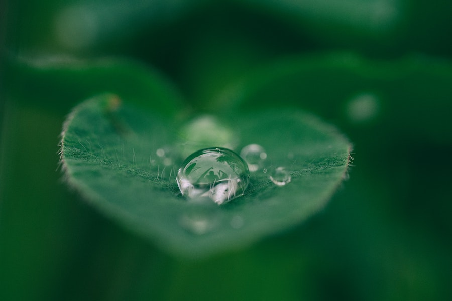 Mit gutem Gewissen ertragreich anlegen